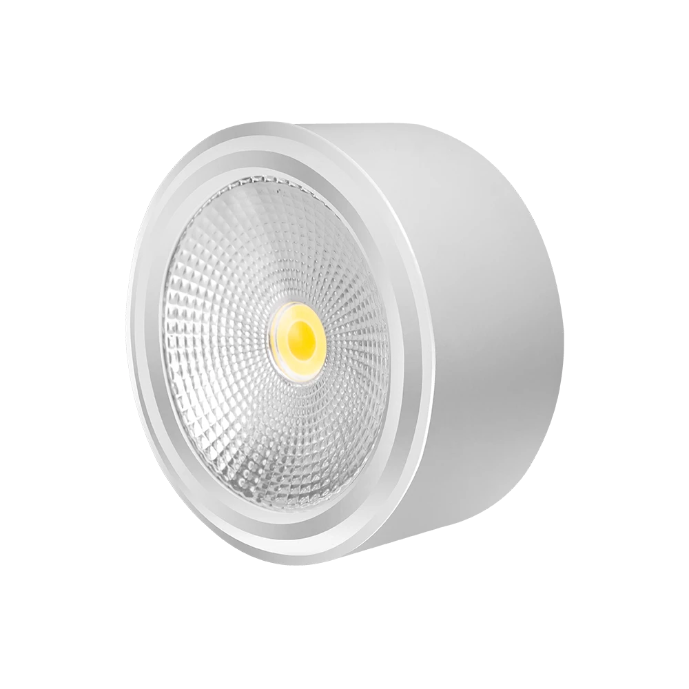 Đèn downlight nổi 12W tròn