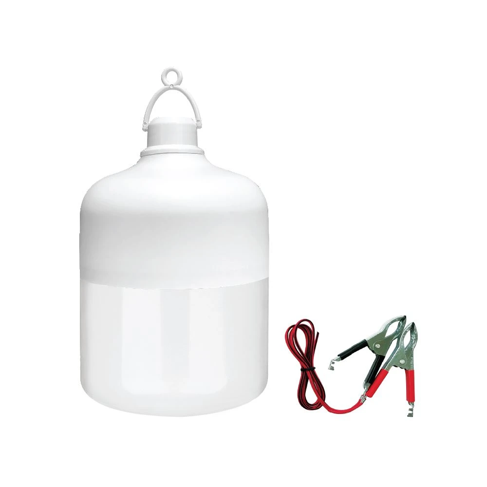 Đèn LED Bulb chạy điện DC (12V - 24V) ELB1924/12W