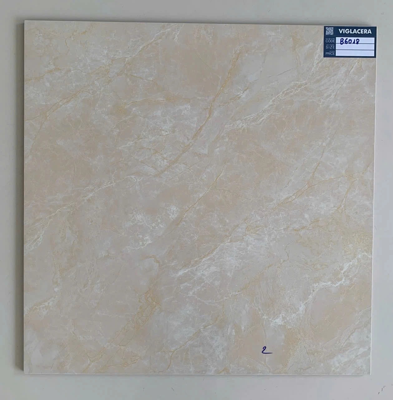 Gạch lát nền 600x600 Viglacera B6018