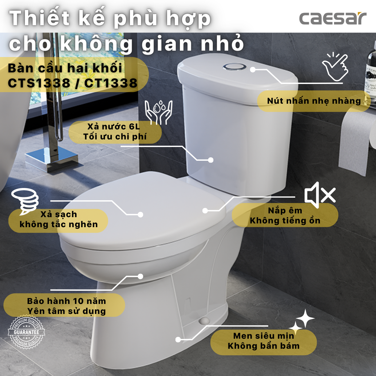 Bồn cầu hai khối Caesar CT1338