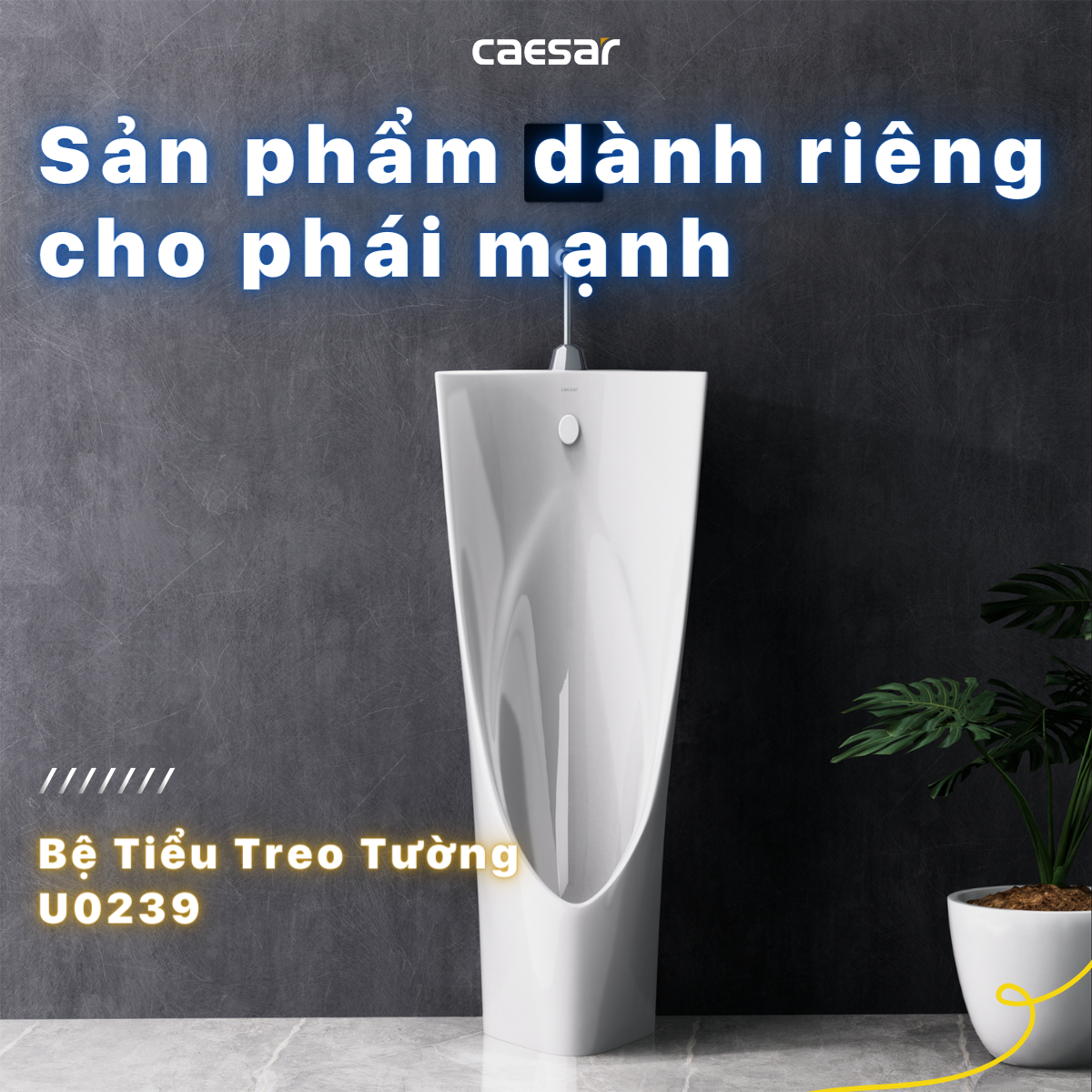 Bệ tiểu nam Caesar U0239 + Xả tiểu cảm ứng A654