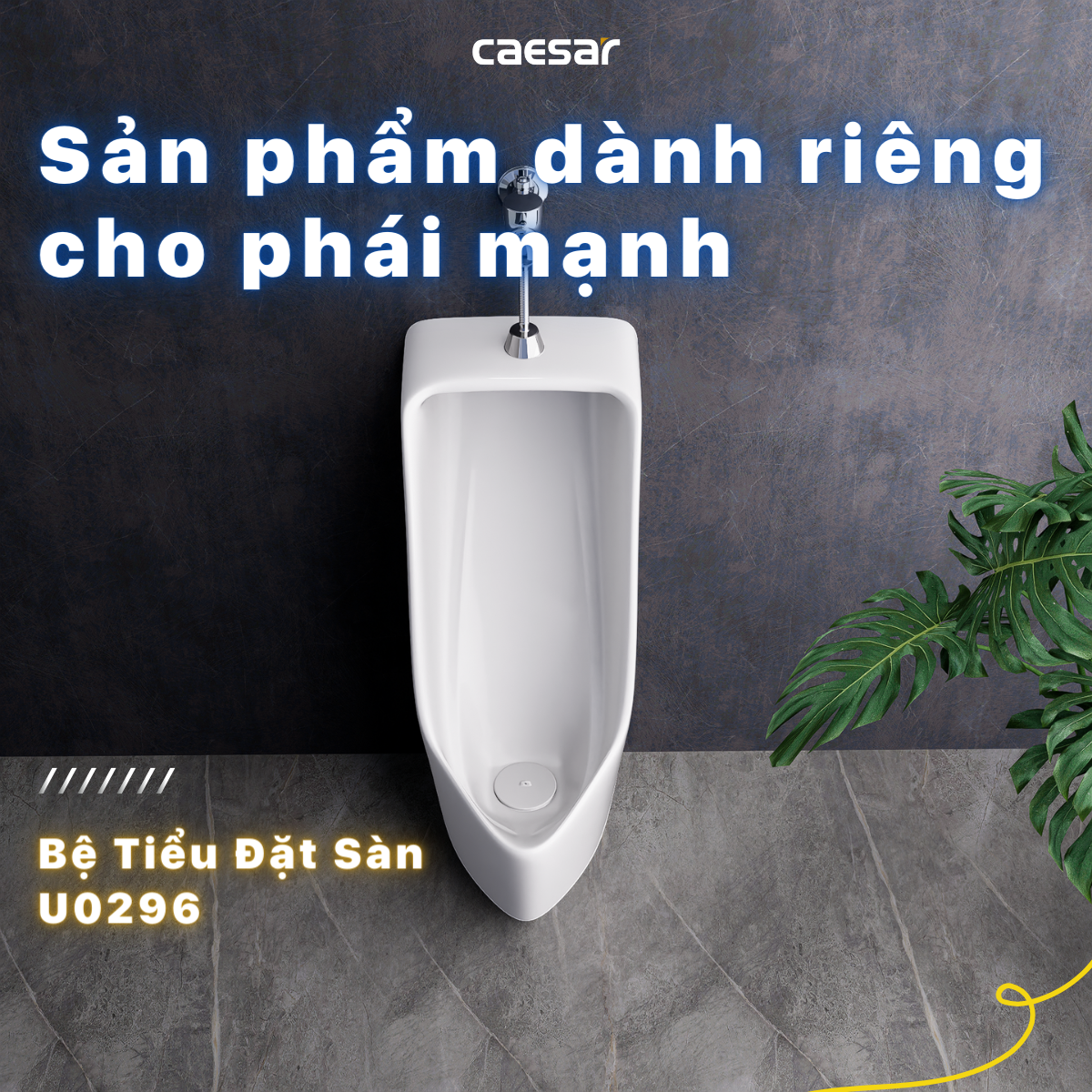 Bệ tiểu nam Caesar U0296 + Xả tiểu cảm ứng A648