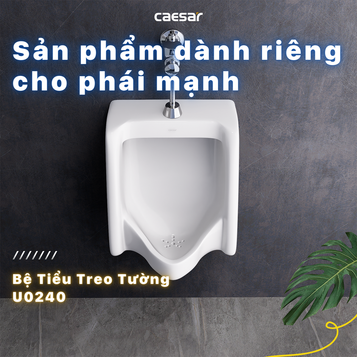 Bệ tiểu nam Caesar U0240 + Xả tiểu cảm ứng A623