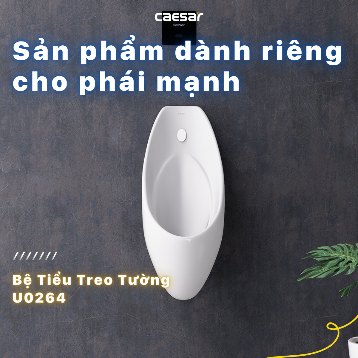 Bệ tiểu nam Caesar U0264