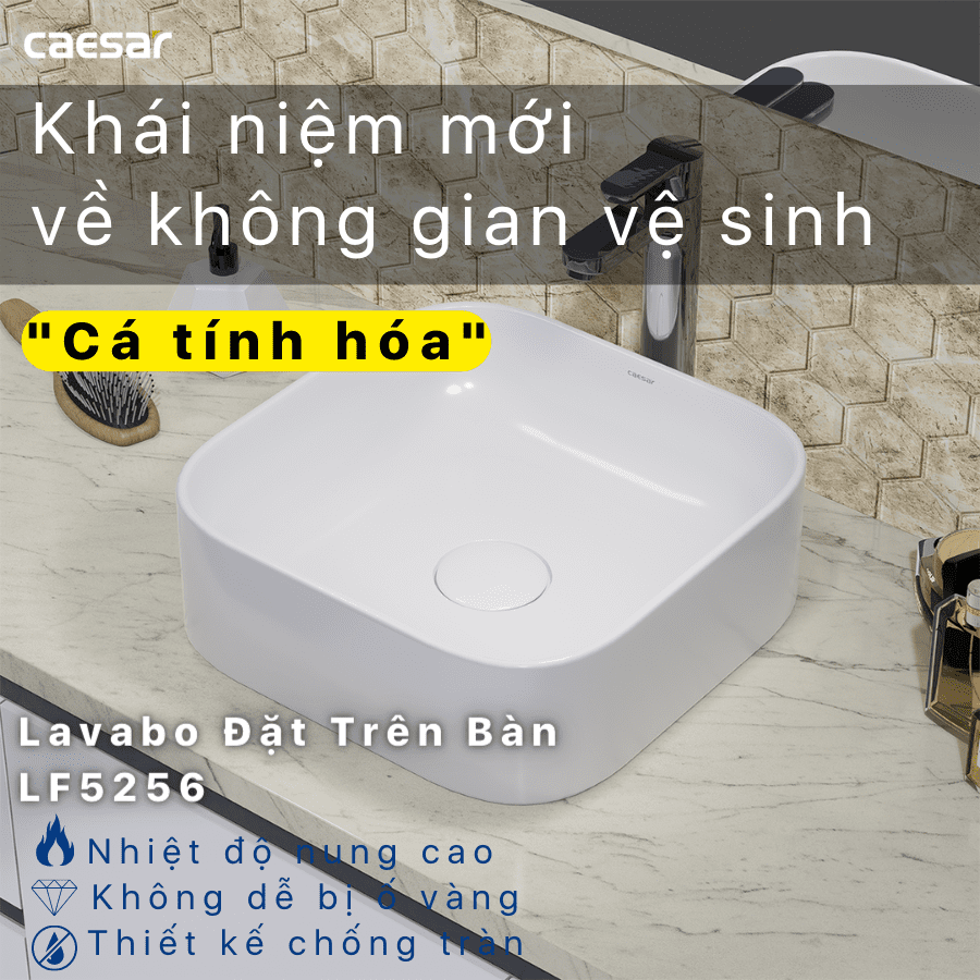 Chậu rửa Lavabo đặt bàn Caesar LF5256