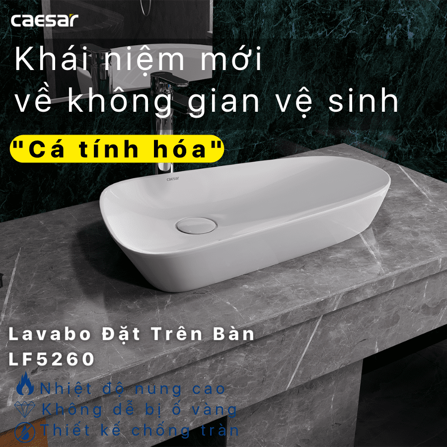 Chậu rửa Lavabo đặt bàn Caesar LF5260