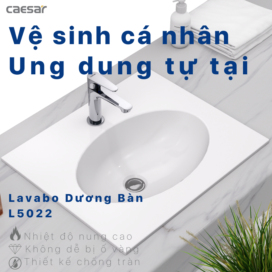 Chậu rửa Lavabo đặt bàn Caesar L5022