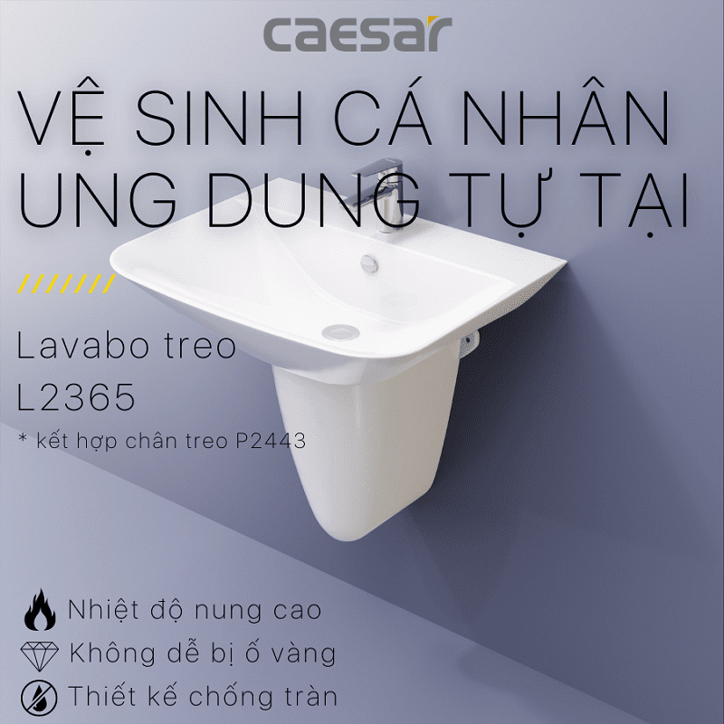 Chậu rửa Lavabo treo tường Caesar L2365 + Chân chậu ngắn P2443