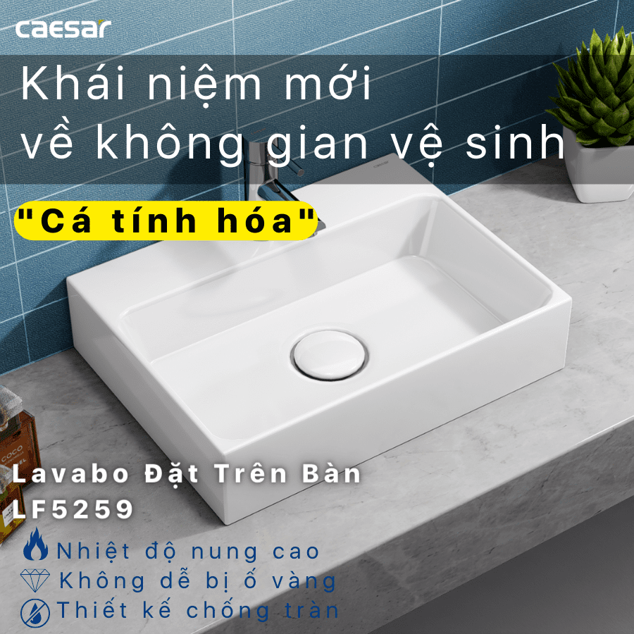 Chậu rửa Lavabo đặt bàn Caesar LF5259