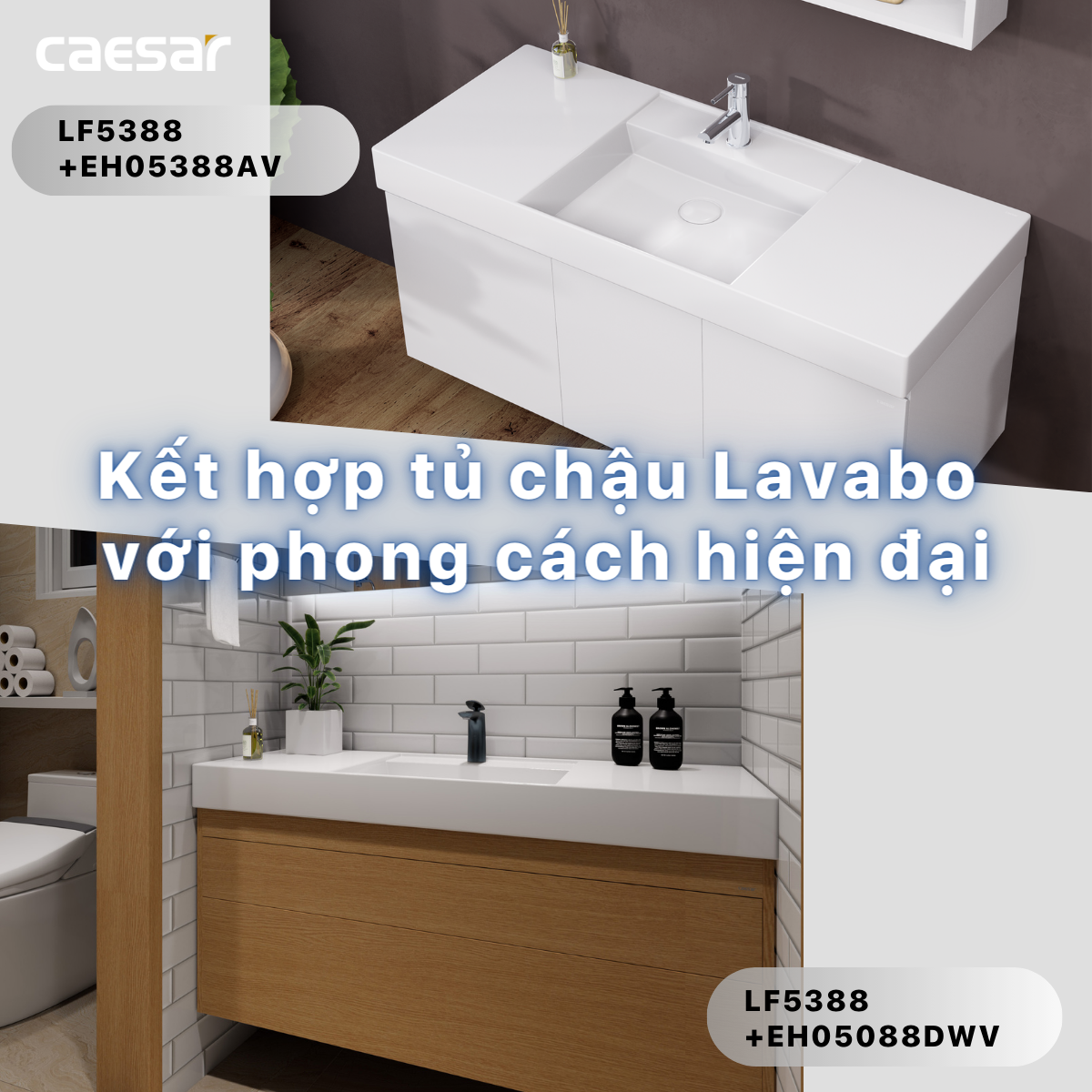 Chậu rửa Lavabo đặt bàn Caesar LF5388