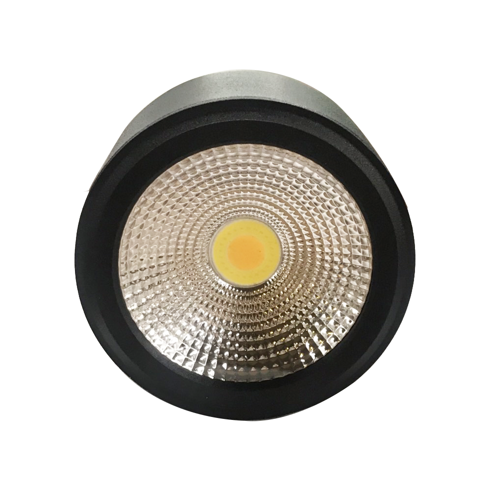 Đèn downlight nổi 12W tròn