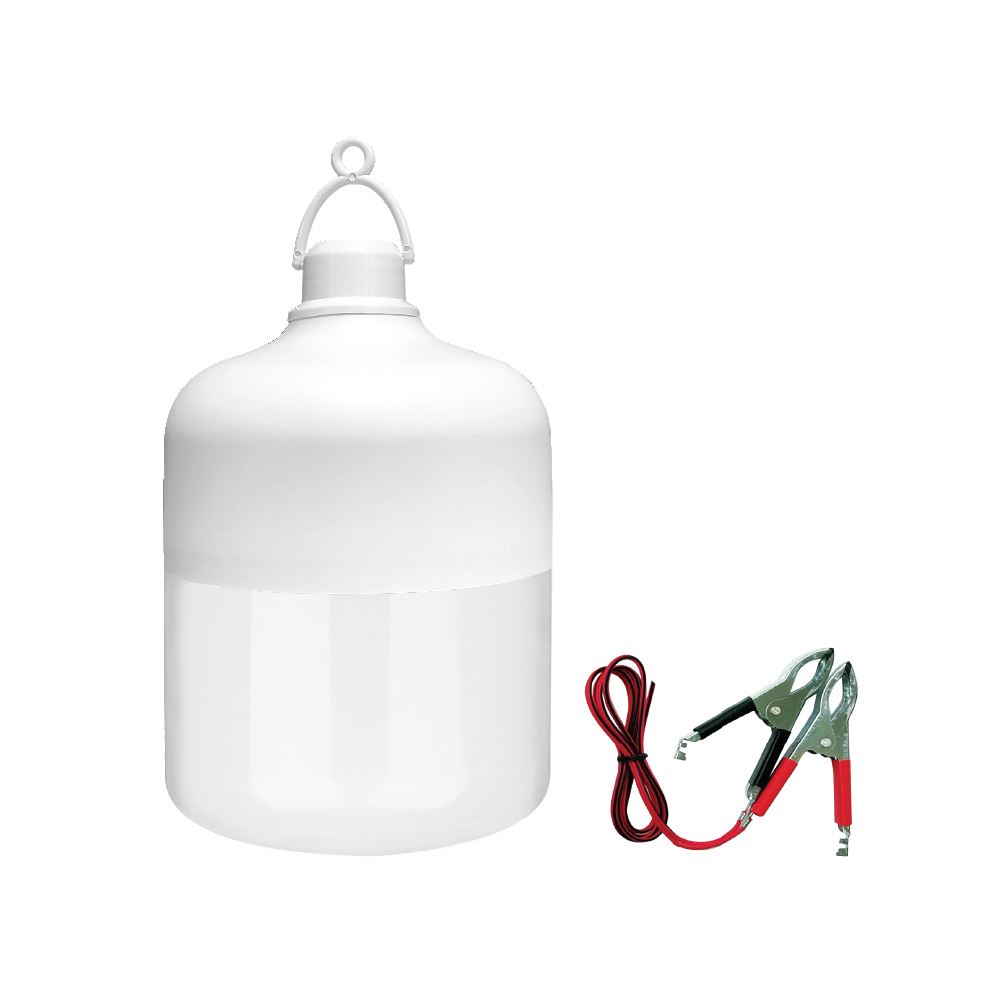 Đèn LED Bulb chạy điện DC (12V) ELB1910/18W