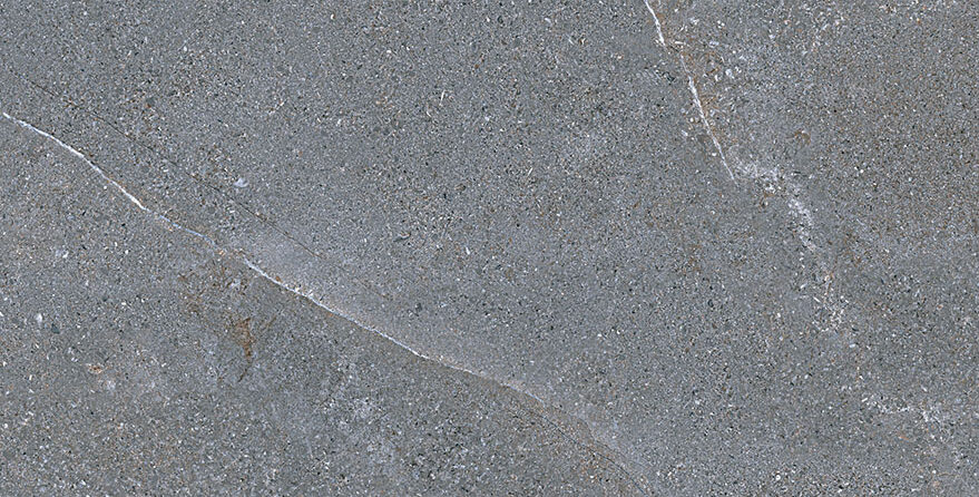 Gạch ốp tường Eurotile 450×900 NGC I03