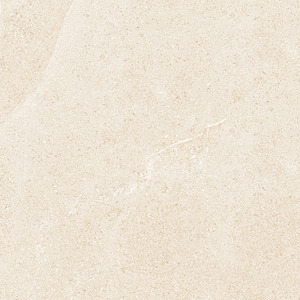 Gạch ốp tường Eurotile 600×600 NGC H04