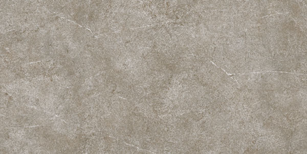 Gạch ốp tường Viglacera 300×600 M 3603